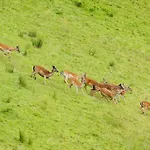 مزرعة للإقامة Tourist Farm Arbajter Resnik