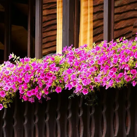 Tourist Farm Arbajter * Resnik