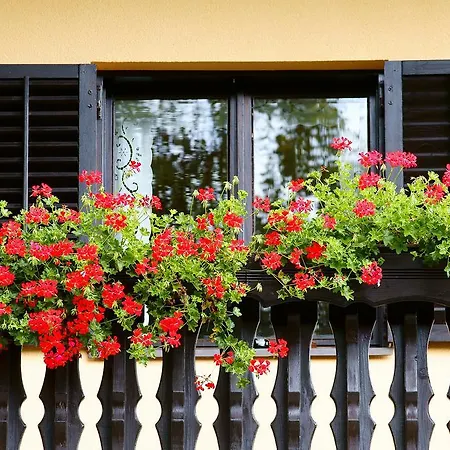Gospodarstwo agroturystyczne Tourist Farm Arbajter