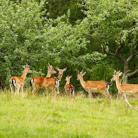 Tourist Farm Arbajter Resnik