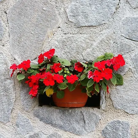 Tourist Farm Arbajter Agroturismo *