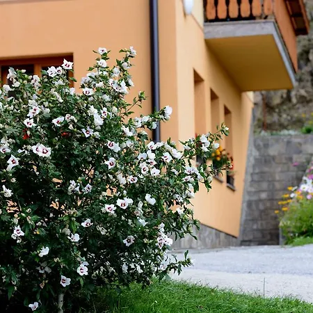 Farm stay Tourist Farm Arbajter