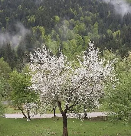 Tourist Farm Arbajter *