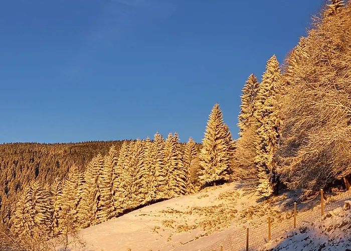 Tourist Farm Arbajter مزرعة للإقامة Resnik