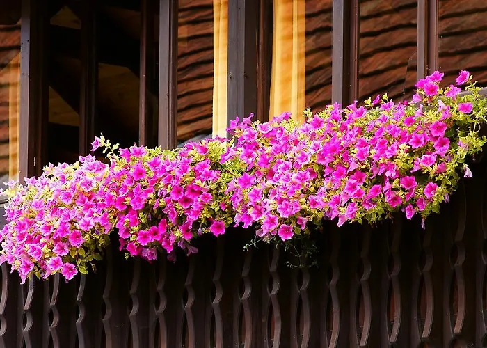 Tourist Farm Arbajter * Resnik