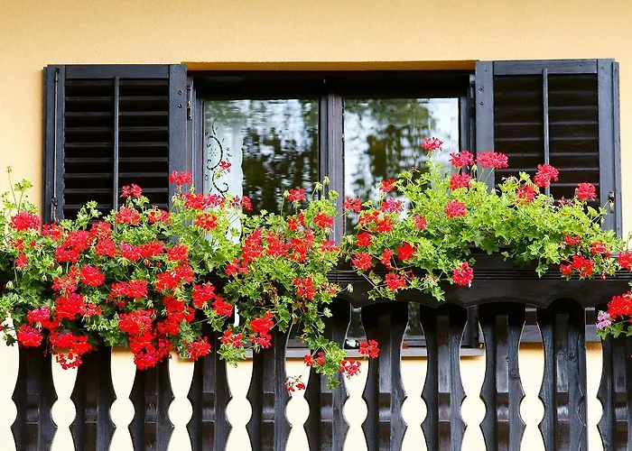 Smještaj na farmi Tourist Farm Arbajter