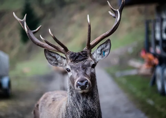 Tourist Farm Arbajter *