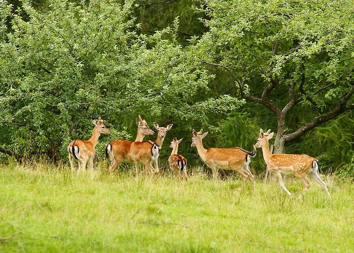 Tourist Farm Arbajter Resnik