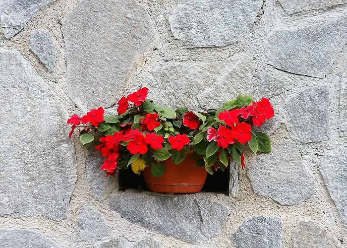 Tourist Farm Arbajter Farmház *