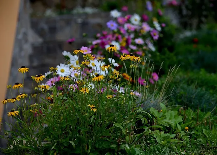 Tourist Farm Arbajter Smještaj na farmi