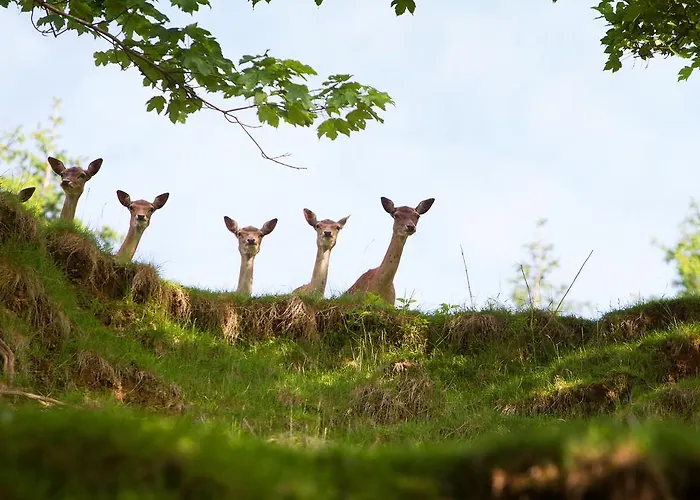 Tourist Farm Arbajter * Resnik