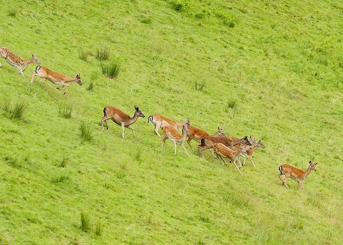Farmház Tourist Farm Arbajter Resnik