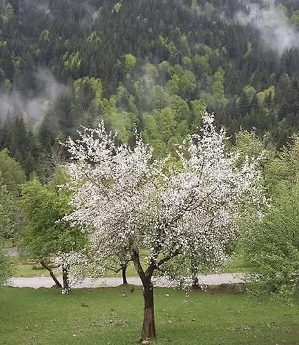 Tourist Farm Arbajter *