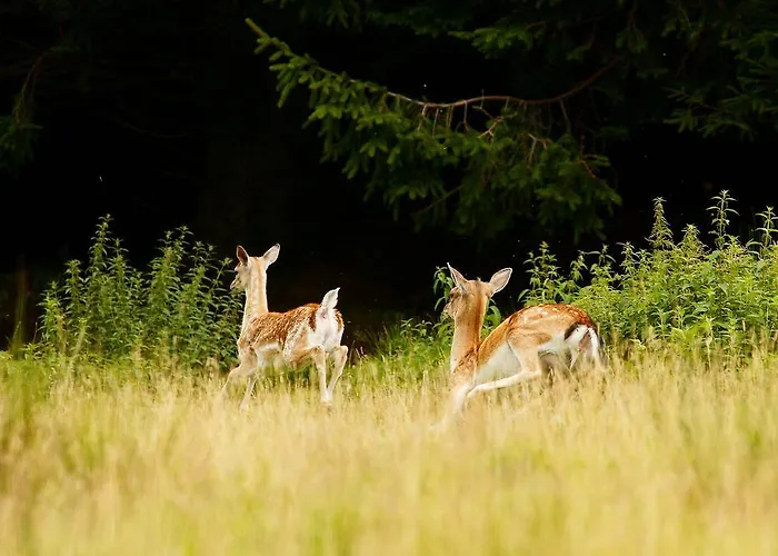 Farmház Tourist Farm Arbajter *