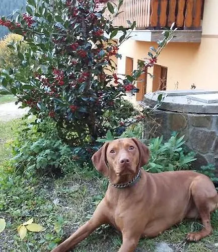 Tourist Farm Arbajter *